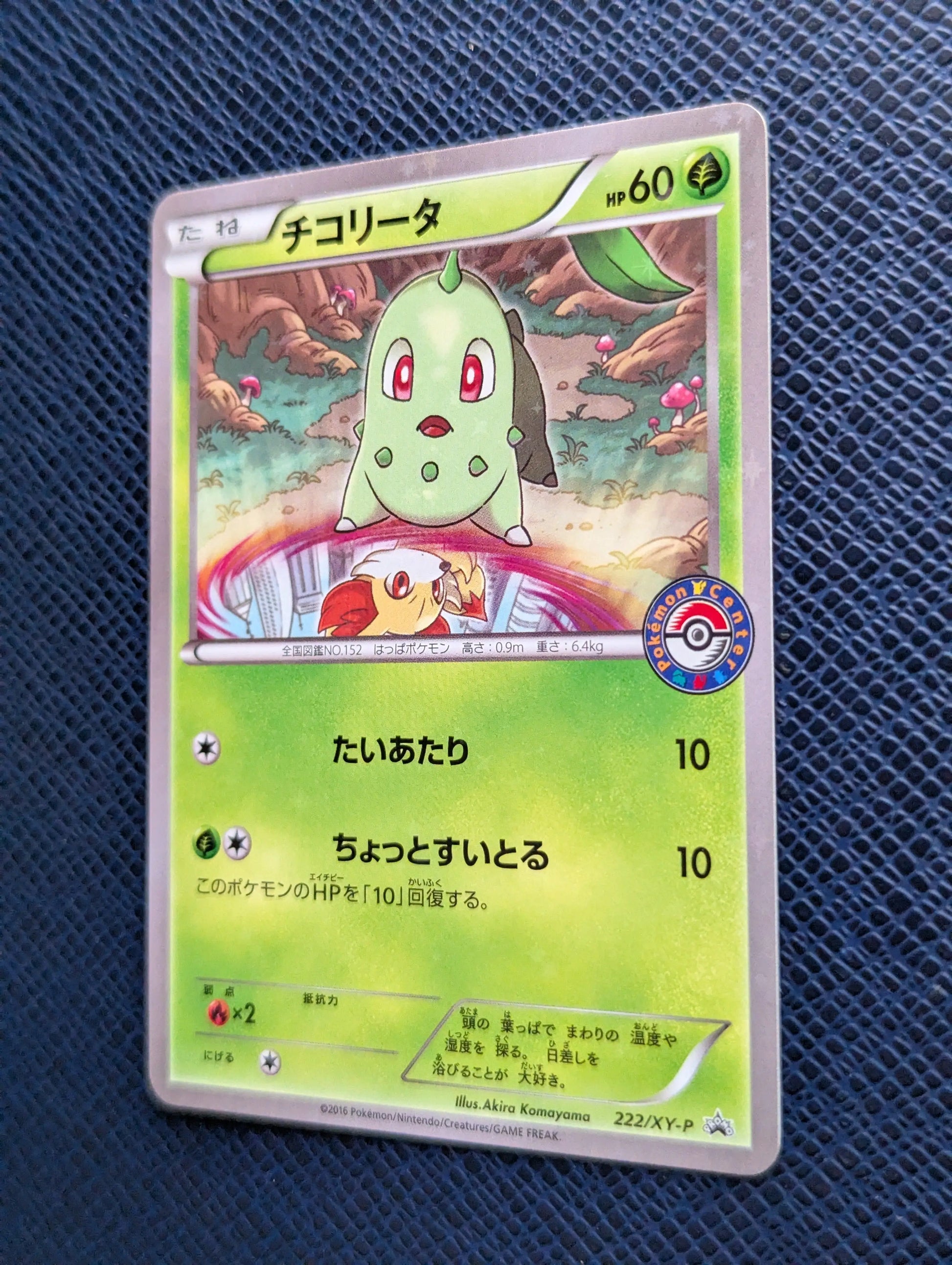 Carta Pokémon Chikorita #222/XY-P Frontal Derecha