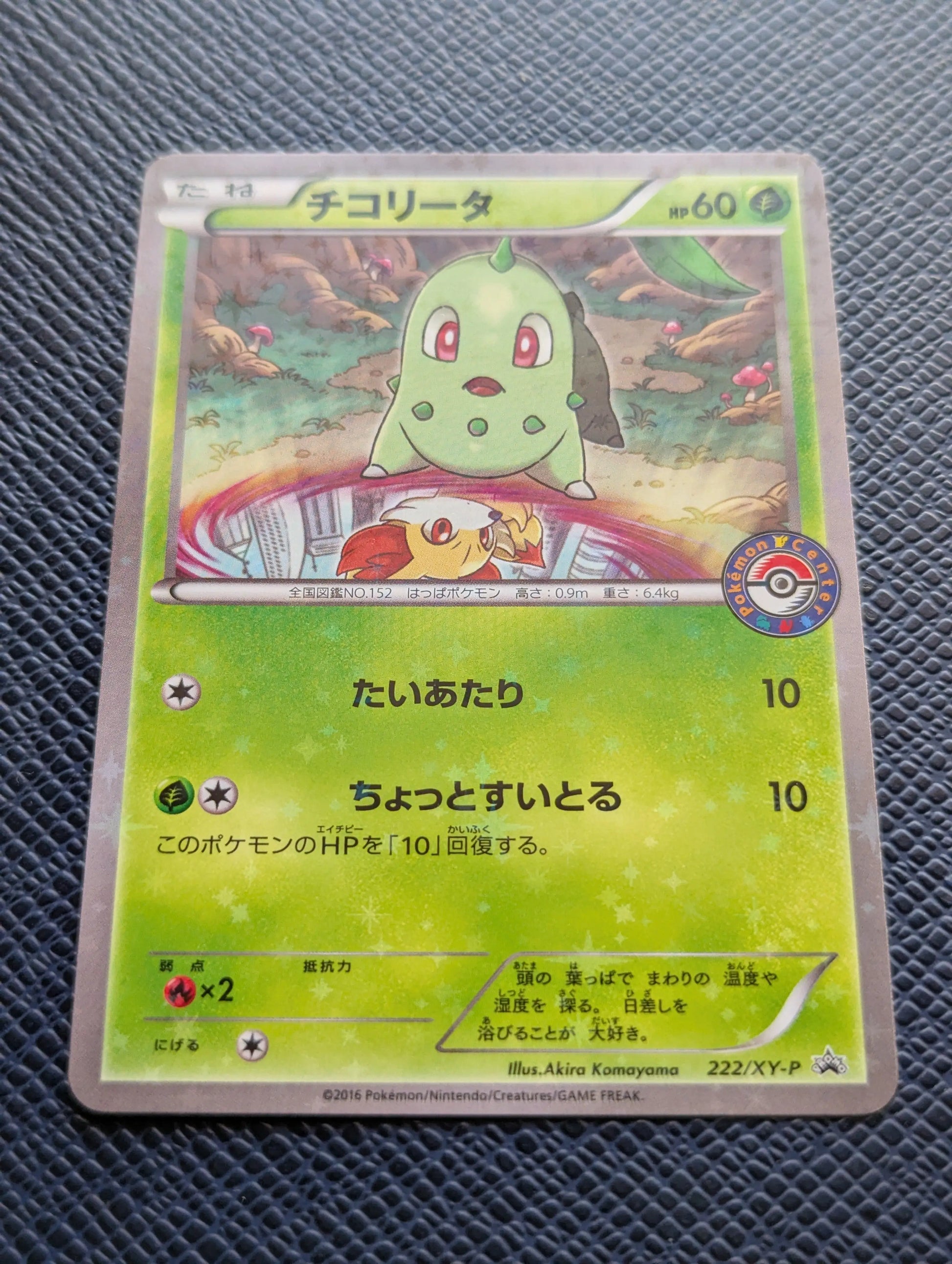 Carta Pokémon Chikorita #222/XY-P Frontal Inferior