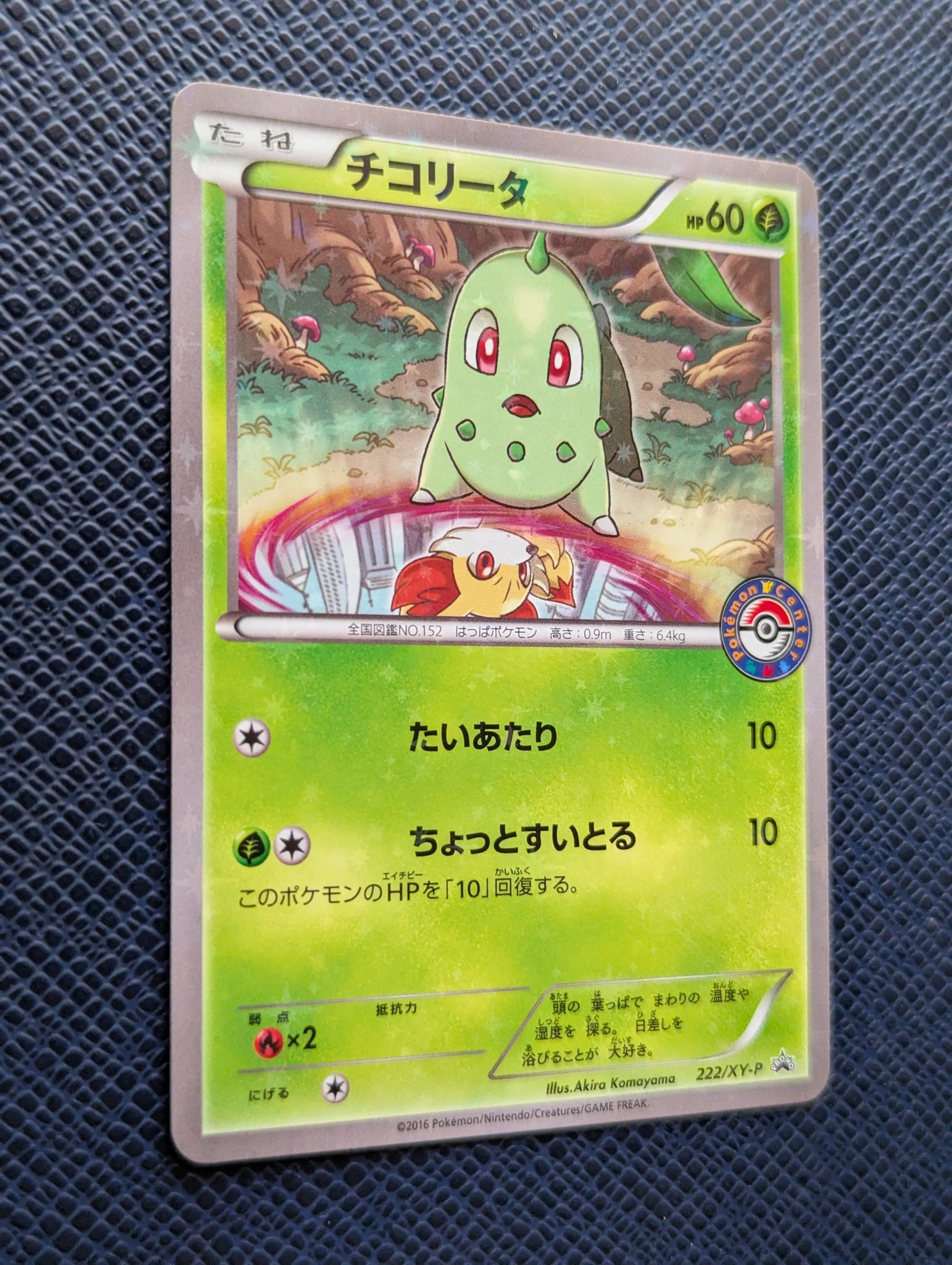 Carta Pokémon Chikorita #222/XY-P Frontal Izquierda