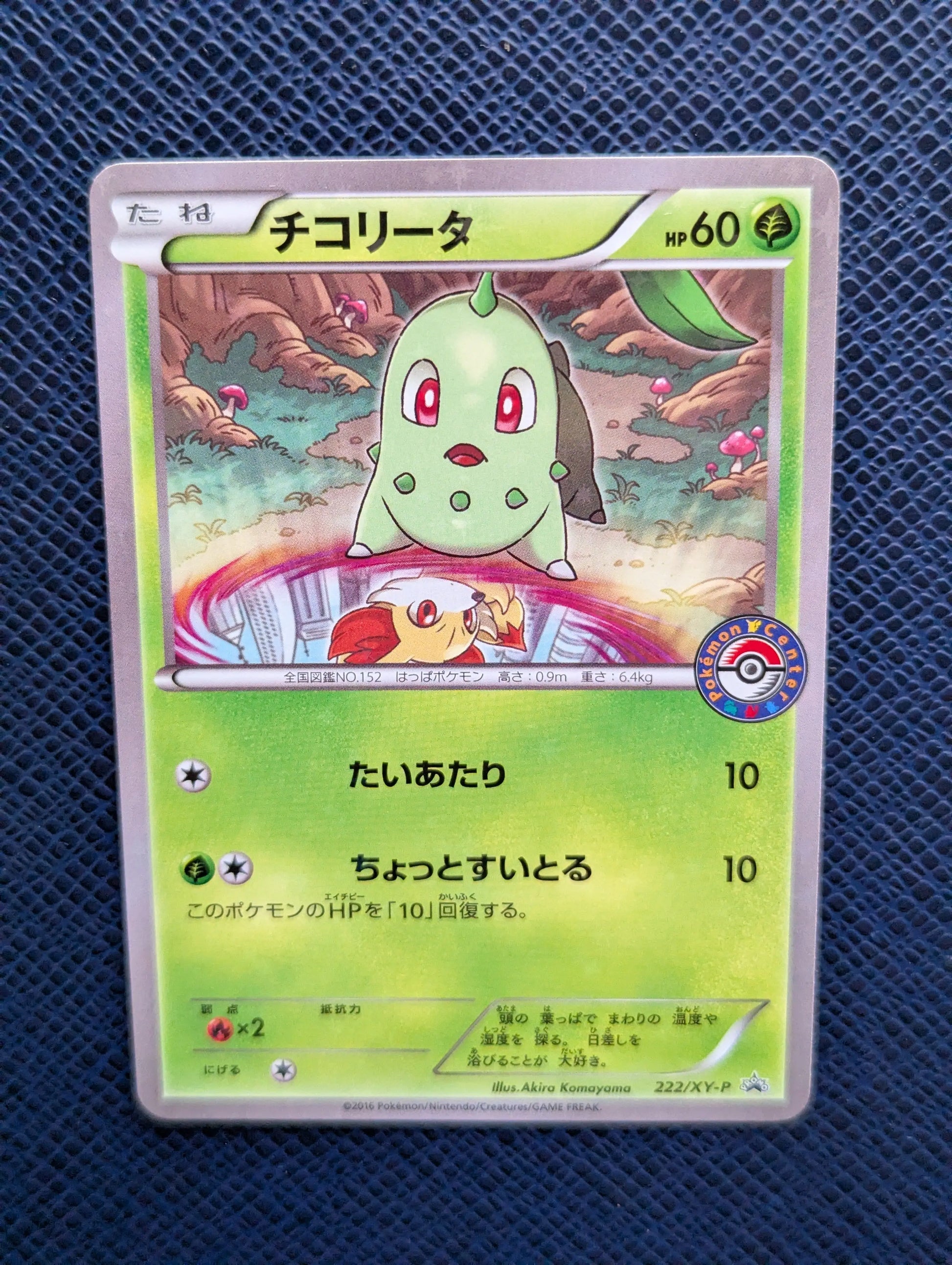 Carta Pokémon Chikorita #222/XY-P Frontal Superior