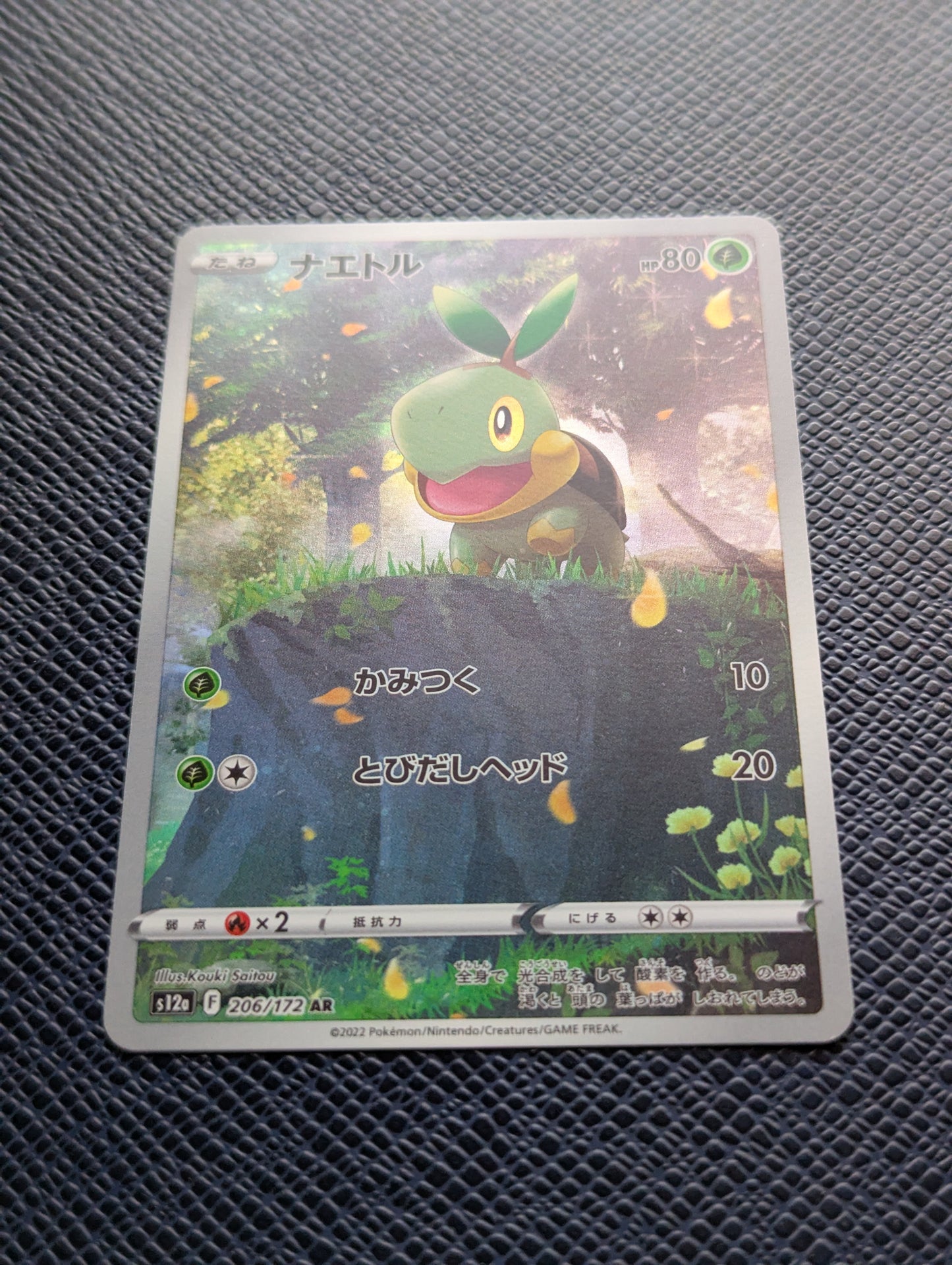 Turtwig #206/172