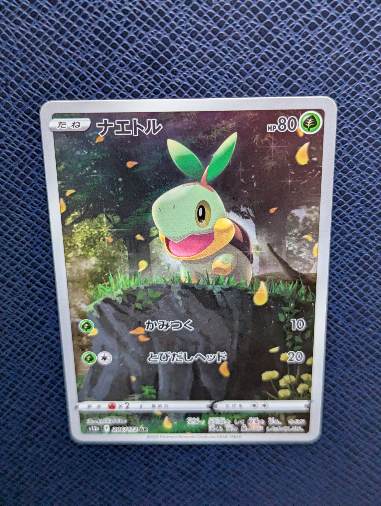 Turtwig #206/172