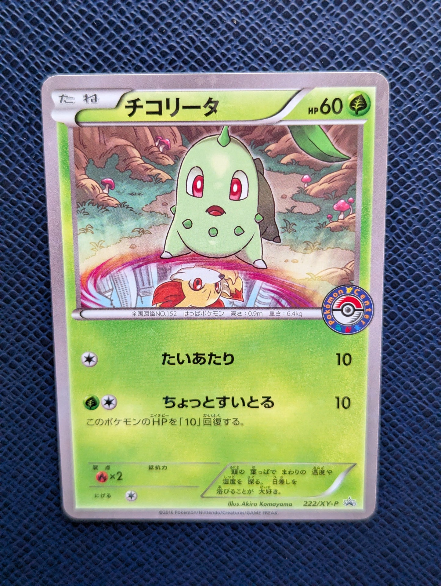 Carta Pokémon Chikorita #222/XY-P Frontal Superior