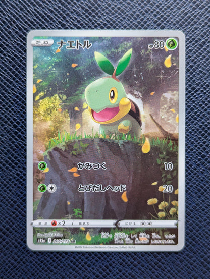 Turtwig #206/172