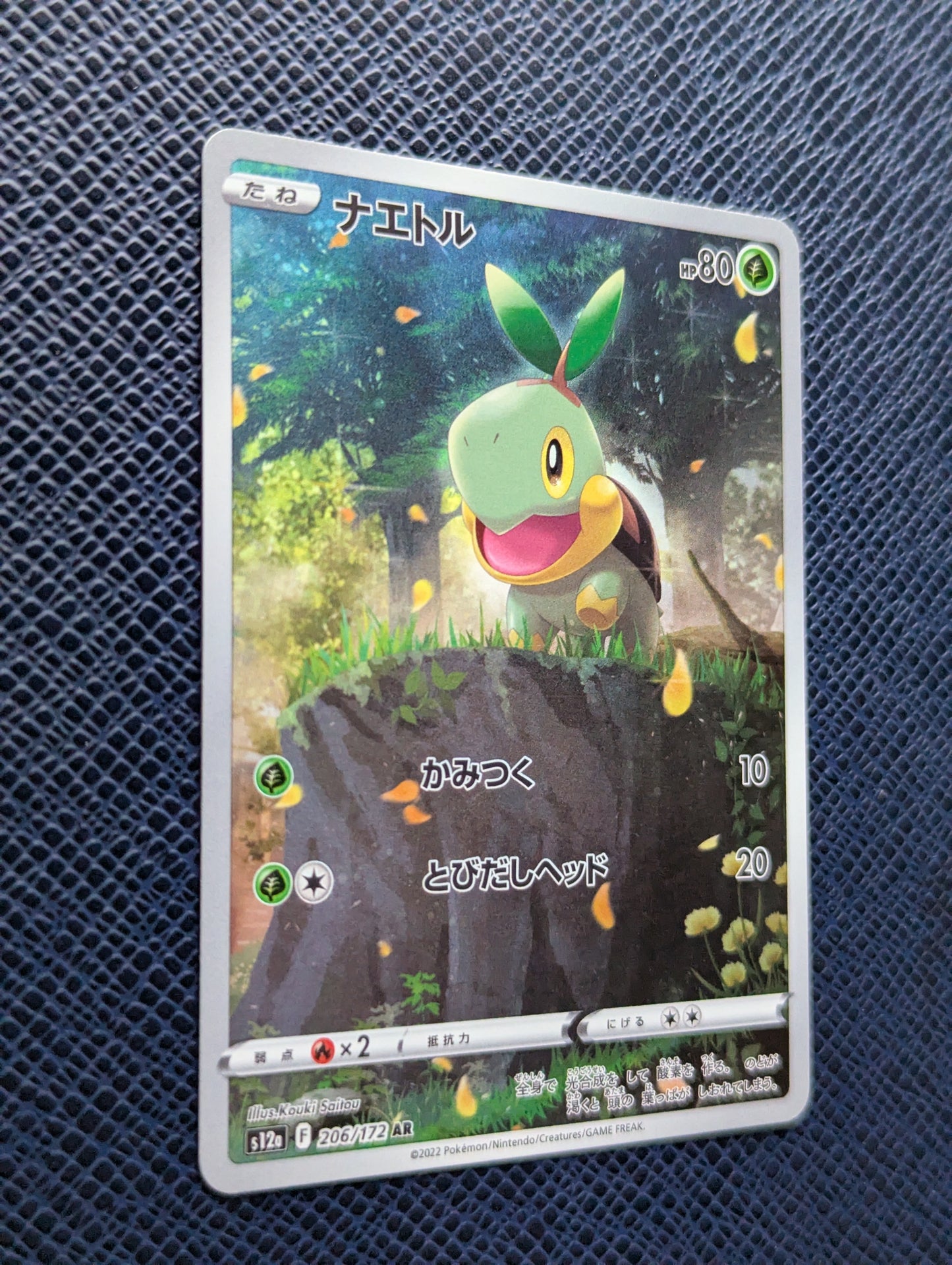 Turtwig #206/172