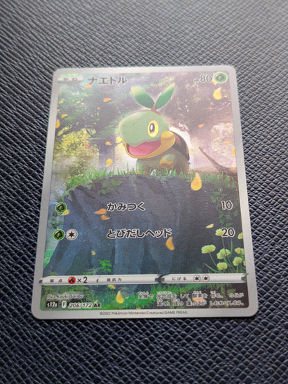 Turtwig #206/172