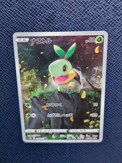 Turtwig #206/172