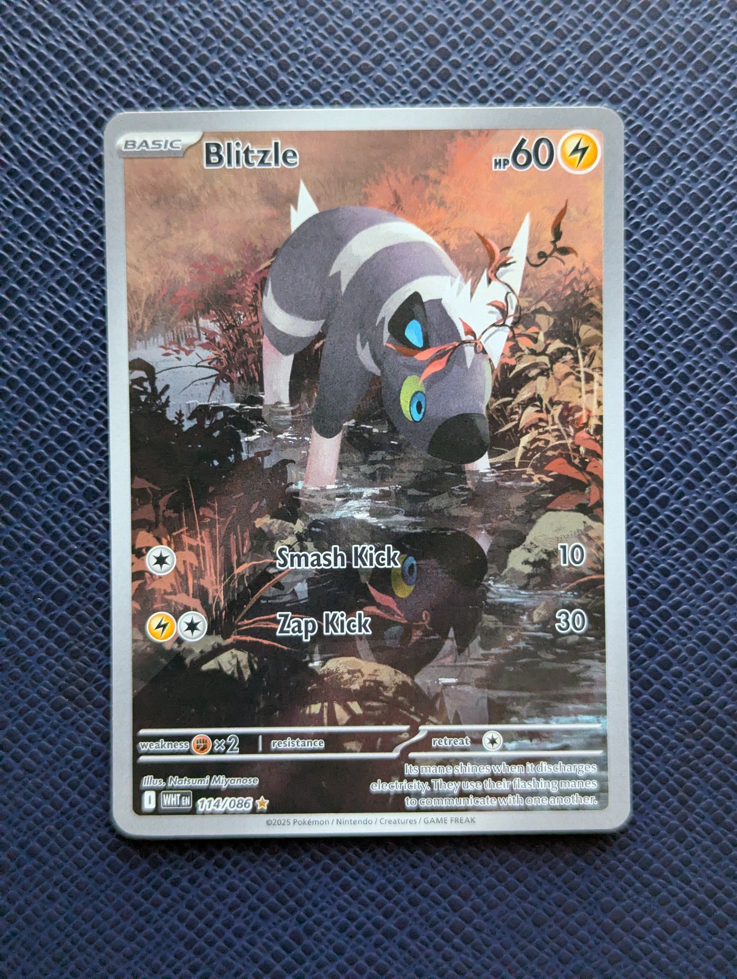 Blitzle #114/086