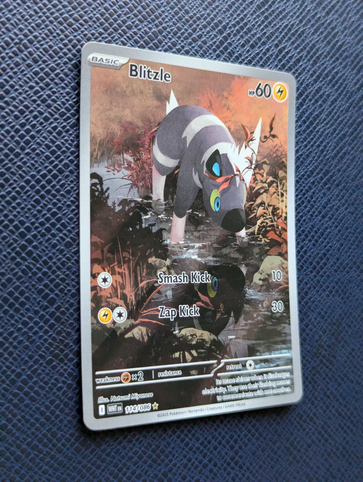 Blitzle #114/086