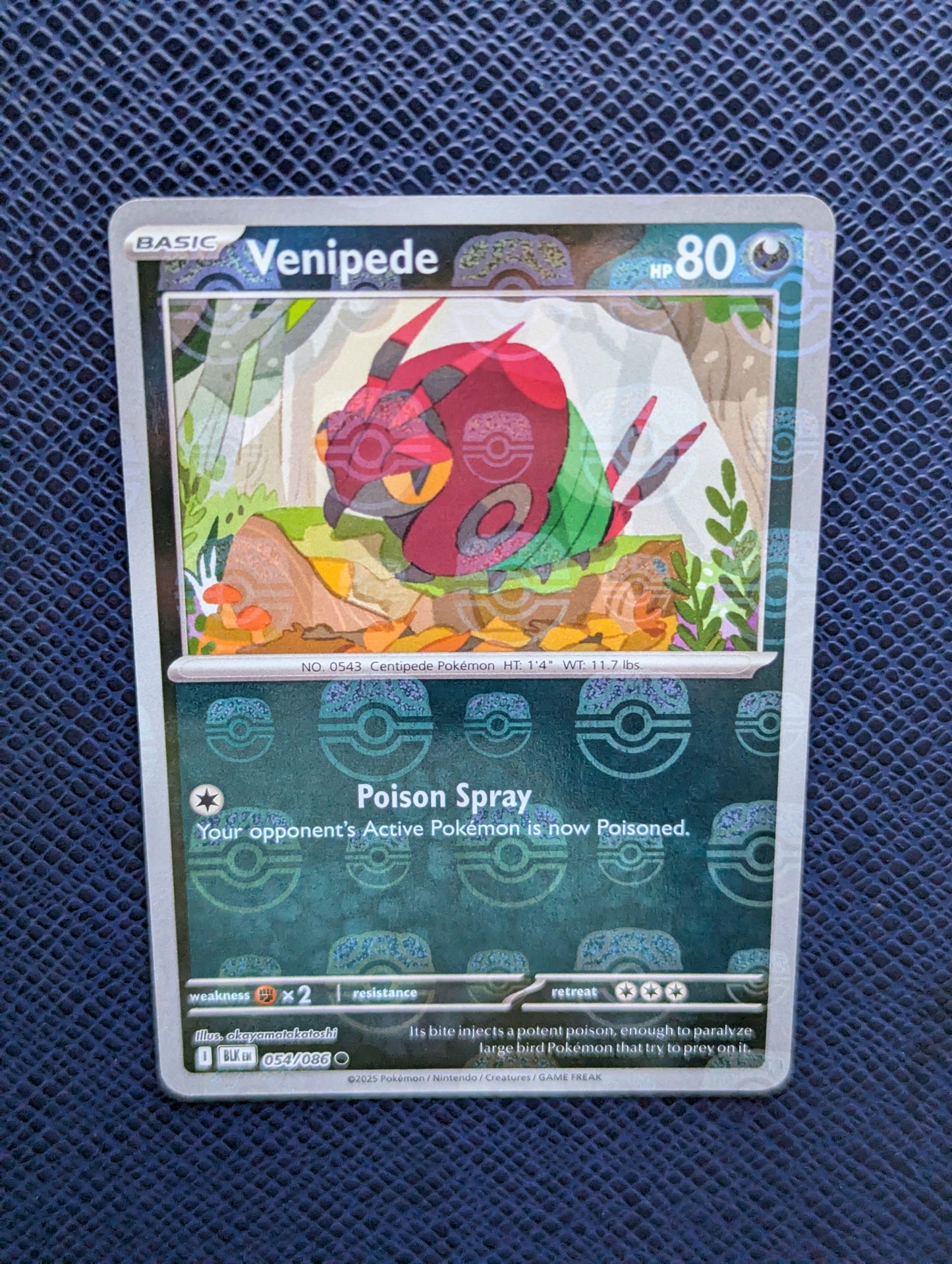 Venipede #054/086
